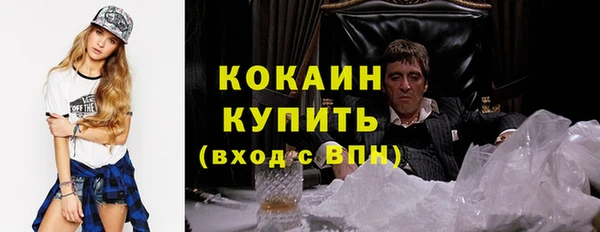 гашик Верея