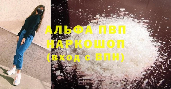 гашик Верея