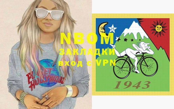 гашик Верея