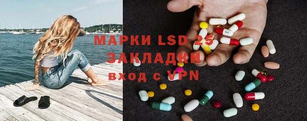 гашик Верея