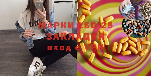 гашик Верея